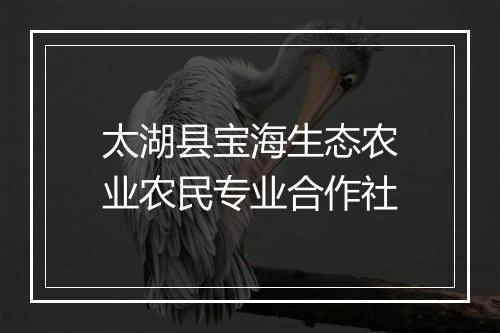 太湖县宝海生态农业农民专业合作社