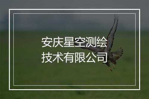 安庆星空测绘技术有限公司