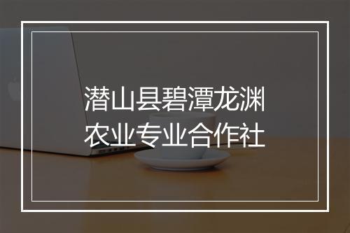 潜山县碧潭龙渊农业专业合作社