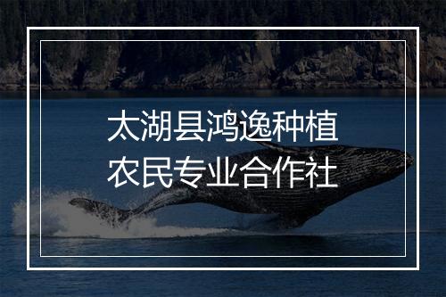 太湖县鸿逸种植农民专业合作社