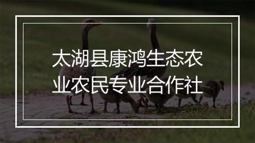 太湖县康鸿生态农业农民专业合作社