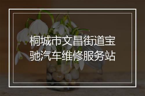 桐城市文昌街道宝驰汽车维修服务站