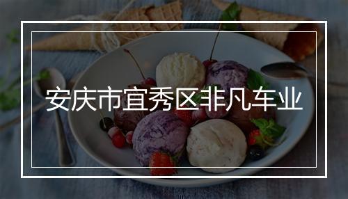 安庆市宜秀区非凡车业