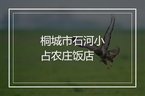 桐城市石河小占农庄饭店