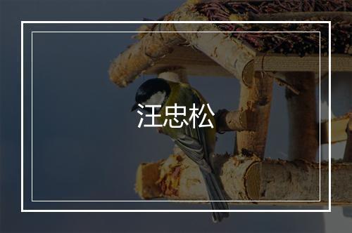 汪忠松