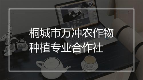 桐城市万冲农作物种植专业合作社