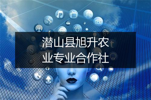 潜山县旭升农业专业合作社