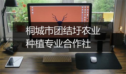 桐城市团结圩农业种植专业合作社