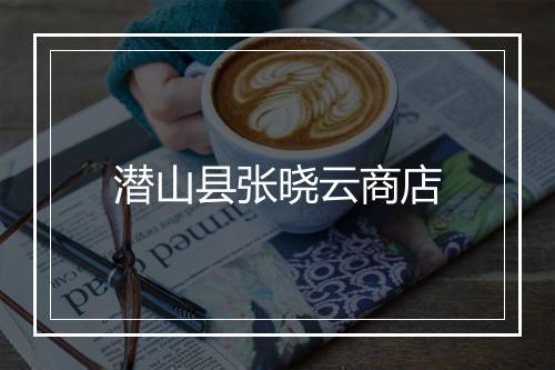 潜山县张晓云商店