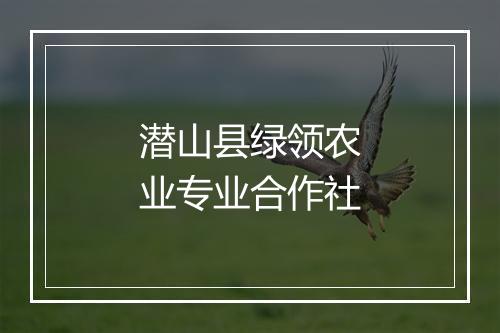 潜山县绿领农业专业合作社