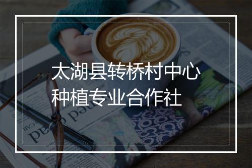 太湖县转桥村中心种植专业合作社