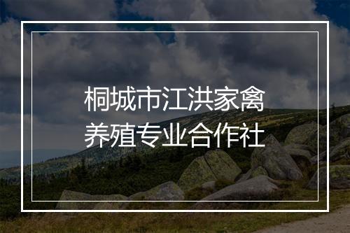 桐城市江洪家禽养殖专业合作社