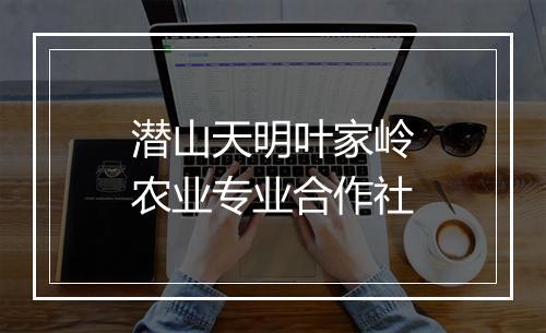潜山天明叶家岭农业专业合作社