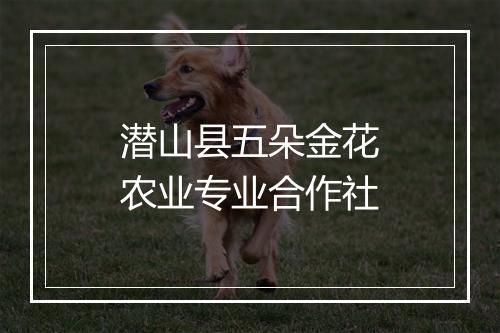 潜山县五朵金花农业专业合作社