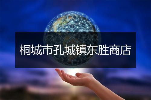 桐城市孔城镇东胜商店
