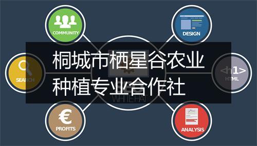 桐城市栖星谷农业种植专业合作社
