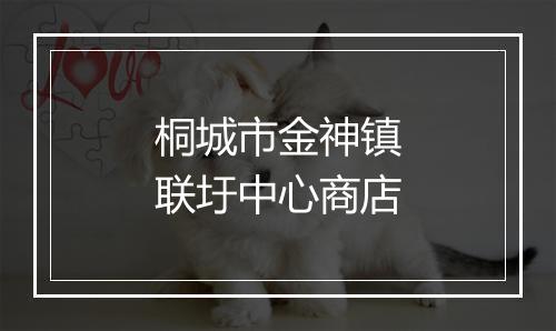 桐城市金神镇联圩中心商店