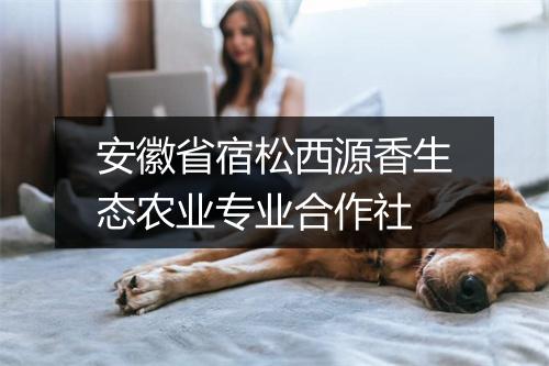 安徽省宿松西源香生态农业专业合作社
