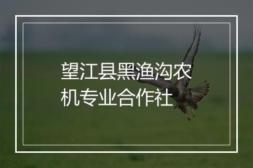 望江县黑渔沟农机专业合作社
