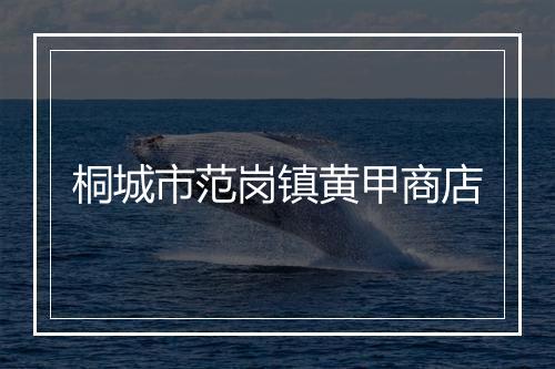 桐城市范岗镇黄甲商店