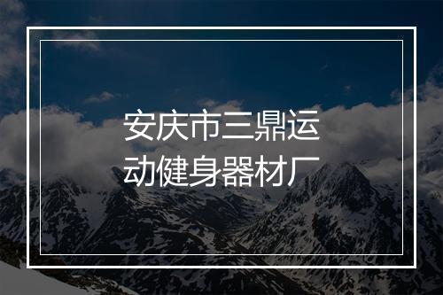 安庆市三鼎运动健身器材厂