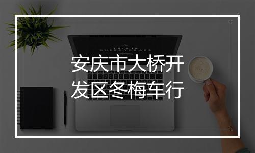 安庆市大桥开发区冬梅车行