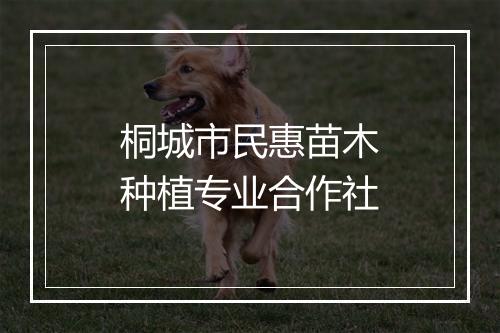 桐城市民惠苗木种植专业合作社