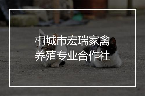 桐城市宏瑞家禽养殖专业合作社