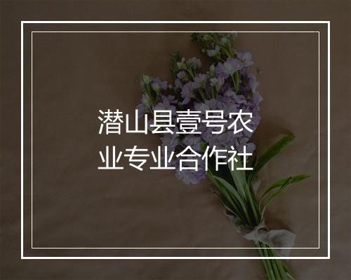 潜山县壹号农业专业合作社