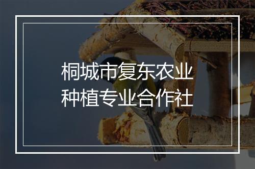 桐城市复东农业种植专业合作社