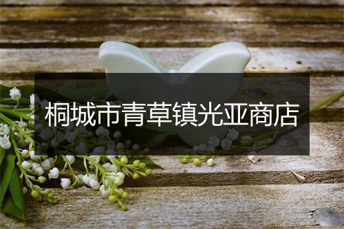 桐城市青草镇光亚商店