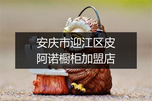 安庆市迎江区皮阿诺橱柜加盟店