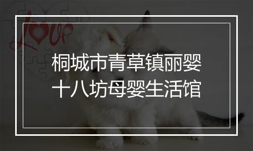 桐城市青草镇丽婴十八坊母婴生活馆