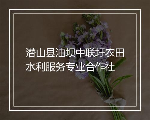 潜山县油坝中联圩农田水利服务专业合作社
