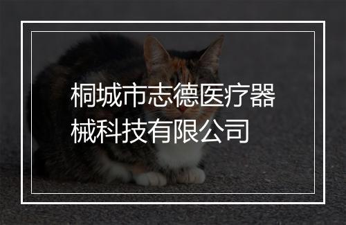 桐城市志德医疗器械科技有限公司