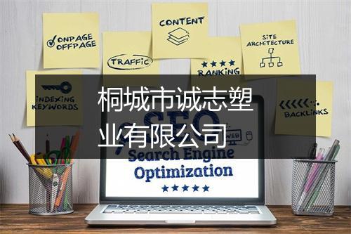 桐城市诚志塑业有限公司