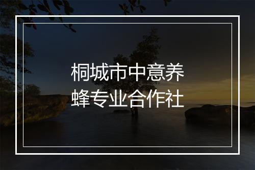 桐城市中意养蜂专业合作社