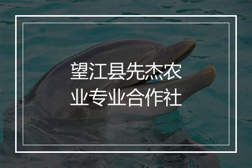 望江县先杰农业专业合作社