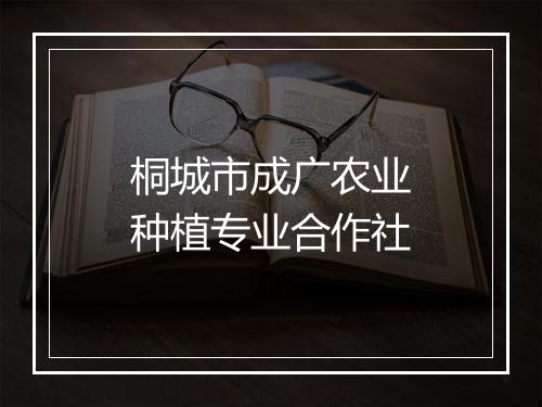 桐城市成广农业种植专业合作社