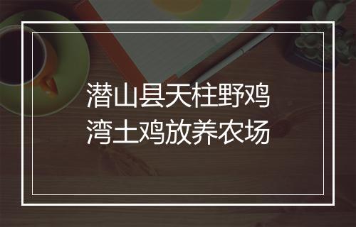 潜山县天柱野鸡湾土鸡放养农场