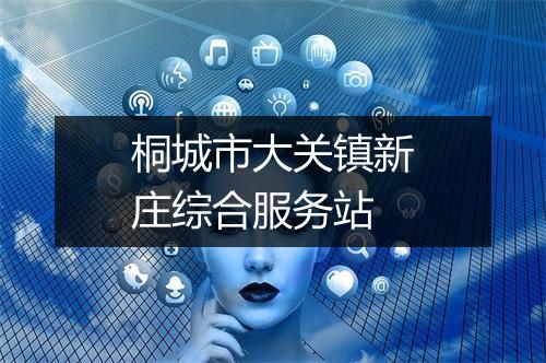 桐城市大关镇新庄综合服务站