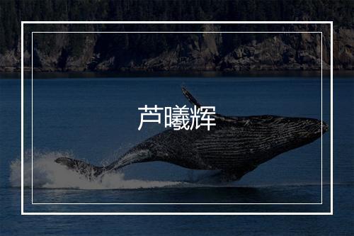 芦曦辉