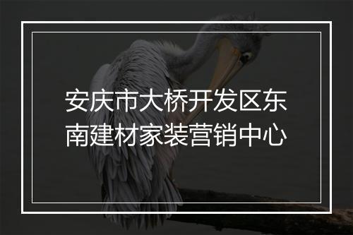 安庆市大桥开发区东南建材家装营销中心
