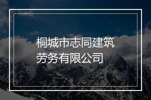 桐城市志同建筑劳务有限公司