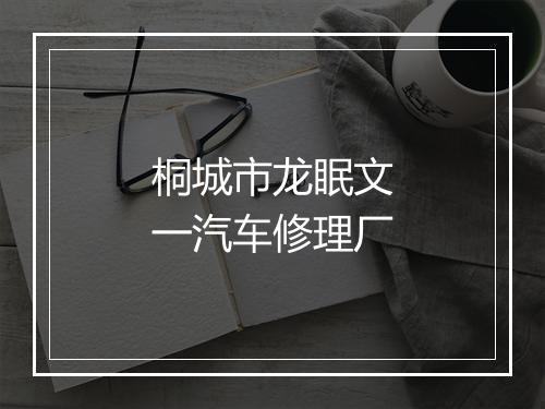 桐城市龙眠文一汽车修理厂