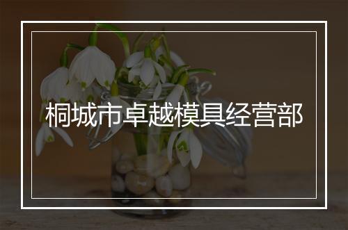 桐城市卓越模具经营部
