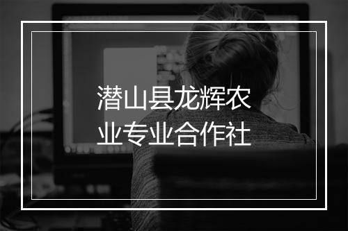 潜山县龙辉农业专业合作社