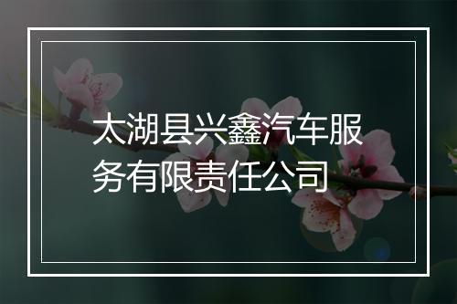 太湖县兴鑫汽车服务有限责任公司
