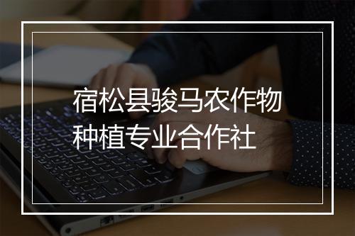 宿松县骏马农作物种植专业合作社