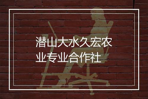 潜山大水久宏农业专业合作社